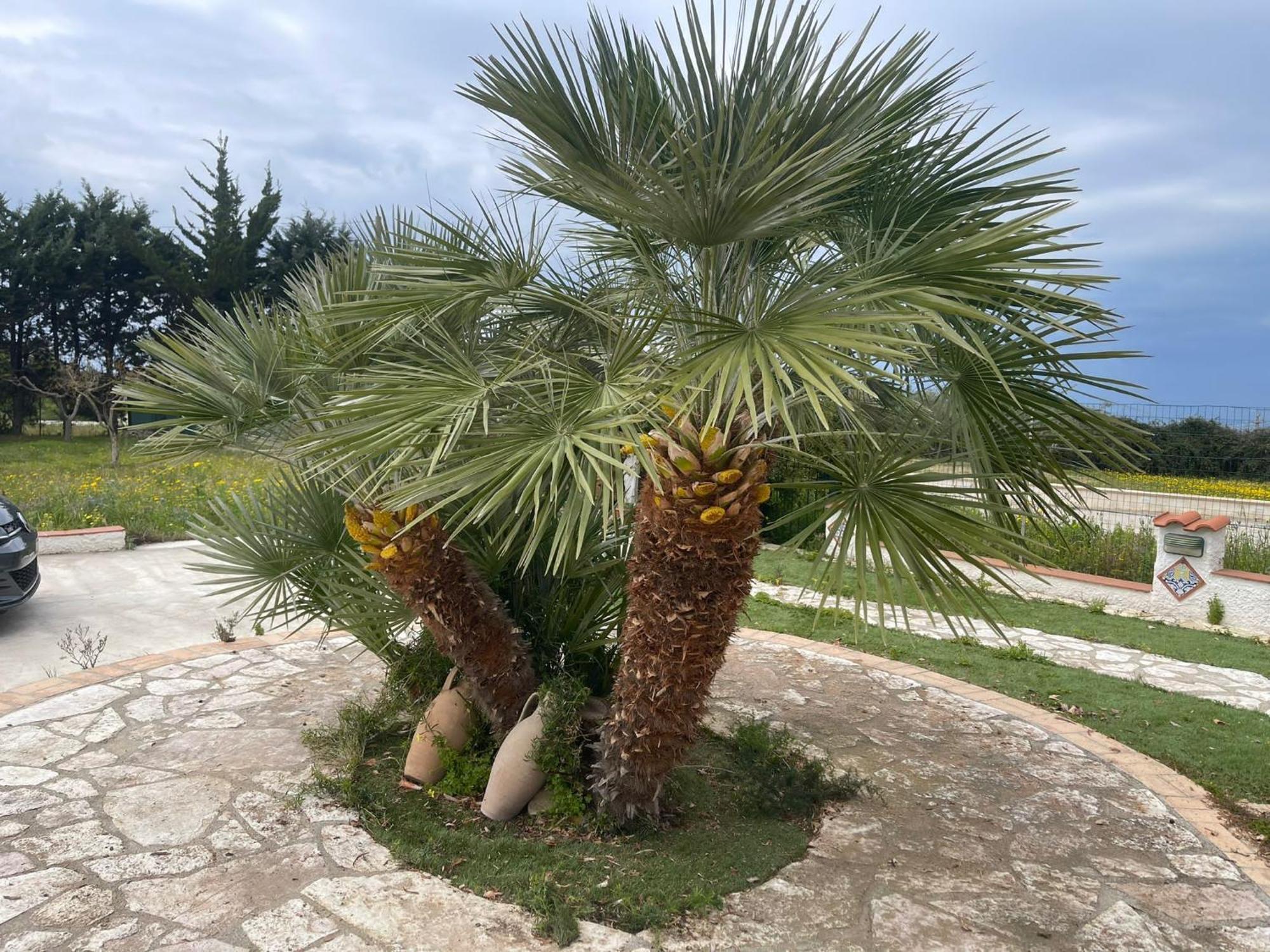 Fiori Di Campo Vila Sciacca Exterior foto