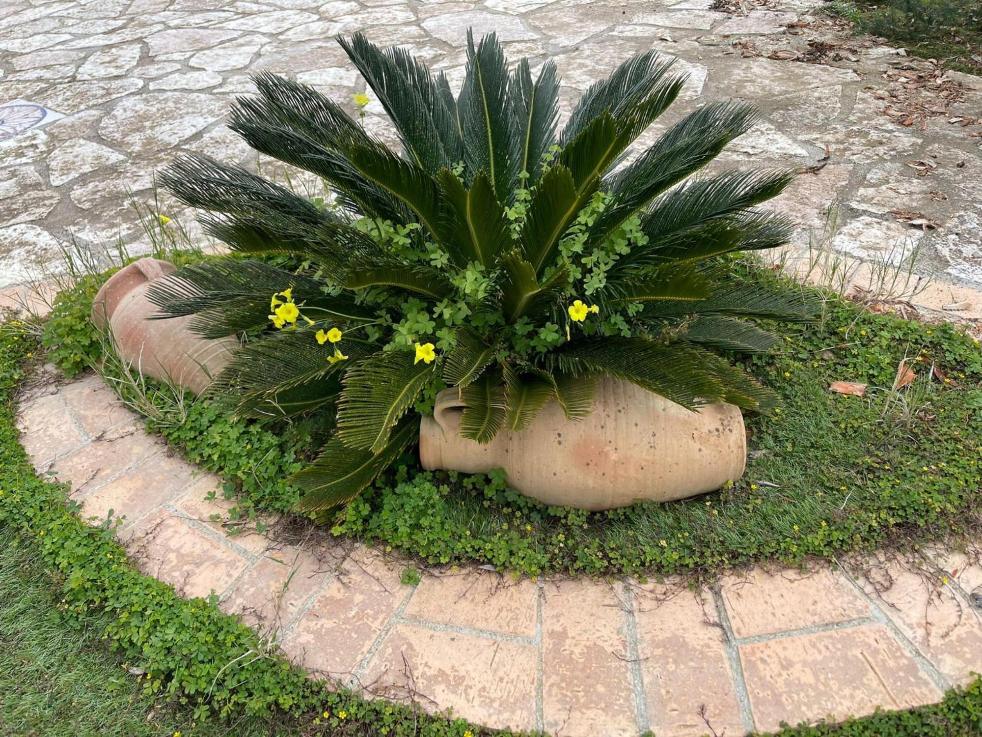 Fiori Di Campo Vila Sciacca Exterior foto